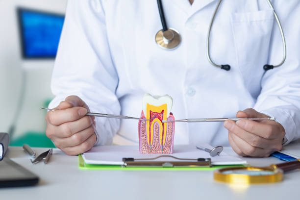 Best Emergency Wisdom Teeth Removal in Ofallon, IL